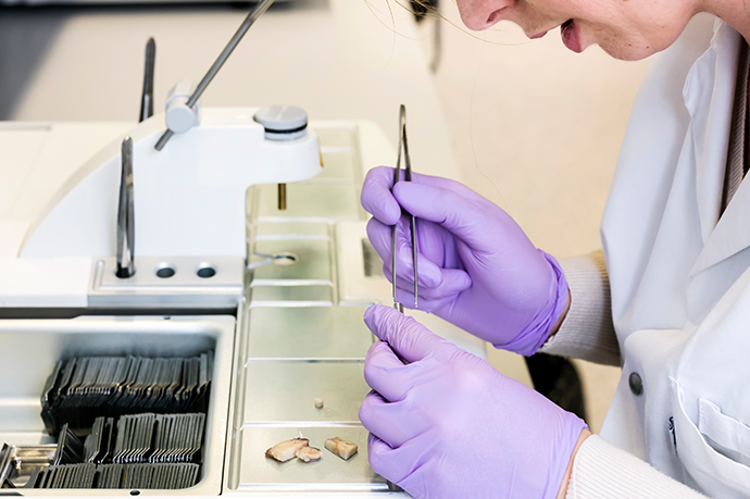 Biopôle R&D Technology platofrms